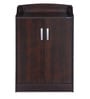 Alpine Shoe Cabinet in Walnut Finish