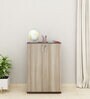 Alston 2 Door Small File Cabinet In Balliness Pine & Cloud Ash Finish With Lock