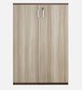 Alston 2 Door Small File Cabinet In Balliness Pine & Cloud Ash Finish With Lock