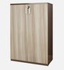 Alston 2 Door Small File Cabinet In Balliness Pine & Cloud Ash Finish With Lock