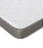 Altus P 6 Inches Queen Size (78x60) Pocket Spring & PU Foam Mattress