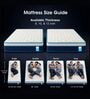 Altus Pocketed Spring 10 Inches Single Size Mattress