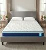 Altus Pocketed Spring 10 Inches Single Size Mattress