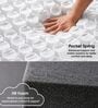 Altus Pocketed Spring 12 Inches Queen Size Mattress