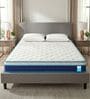 Altus Pocketed Spring 12 Inches Single Size Mattress