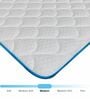 Altus Pocketed Spring 8 Inches Single Size Mattress