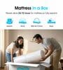 Altus Pocketed Spring 8 Inches Single Size Mattress