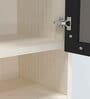 Aluminium Black Profile 2 Brown Tinted Glass handless shutter with Space Organizer in Highland Pine Finish