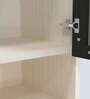 Aluminium Black Profile 2 Fluted Glass handless shutter with Space Organizer in Highland Pine Finish
