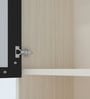 Aluminium Black Profile 3 Fluted Glass handless shutter with Space Organizer in Highland Pine Finish
