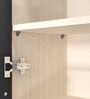 Aluminium Black Profile 4 Brown Tinted Glass handless shutter with Space Organizer in Highland Pine Finish