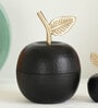 Black Aluminium Ashley The Black Apple Decorative