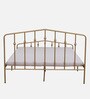Alvarita Metal Queen Size Bed in Gold Colour