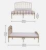 Alvarita Metal Queen Size Bed in Gold Colour