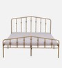 Alvarita Metal Queen Size Bed in Gold Colour