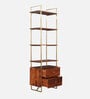 Alviya Sheesham Wood Bookshelf In Natural & Gold Finish