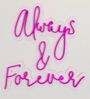 Always & Forever Neon Light- Pink