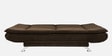 Amoeba Fabric Convertible Sofa Cum Bed in Dark Earth Colour