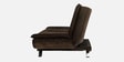 Amoeba Fabric Convertible Sofa Cum Bed in Dark Earth Colour