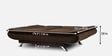Amoeba Fabric Convertible Sofa Cum Bed in Dark Earth Colour