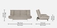 Amoeba Fabric Convertible Sofa Cum Bed in Omega Pearl Colour