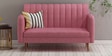 Amour Velvet 2 Seater Sofa In Blush Pink