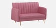 Amour Velvet 2 Seater Sofa In Blush Pink