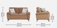 Amsterdam Fabric 2 Seater Sofa in Brown Colour