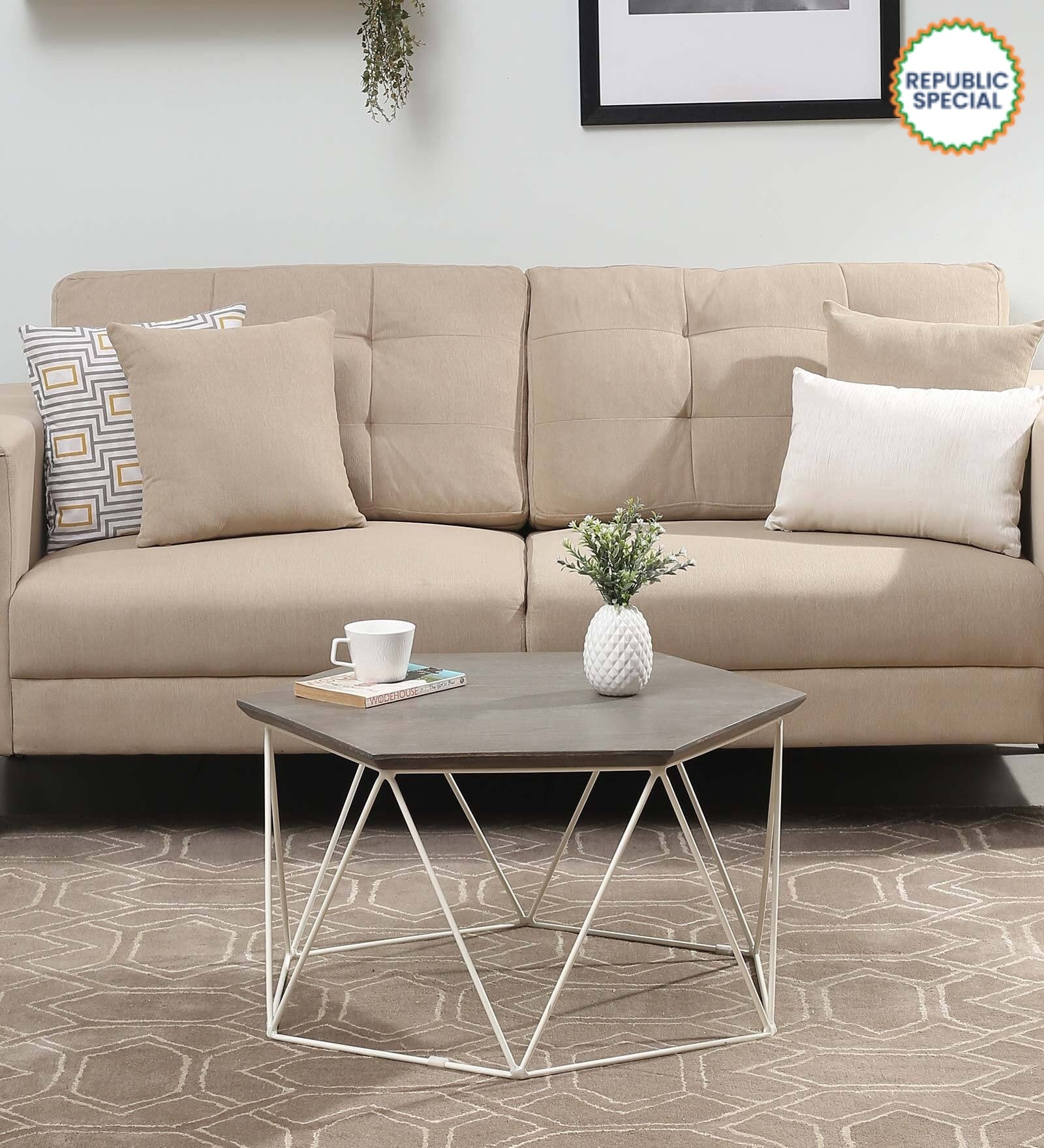 Amada Metal Hexagon Coffee Table In Grey Colour