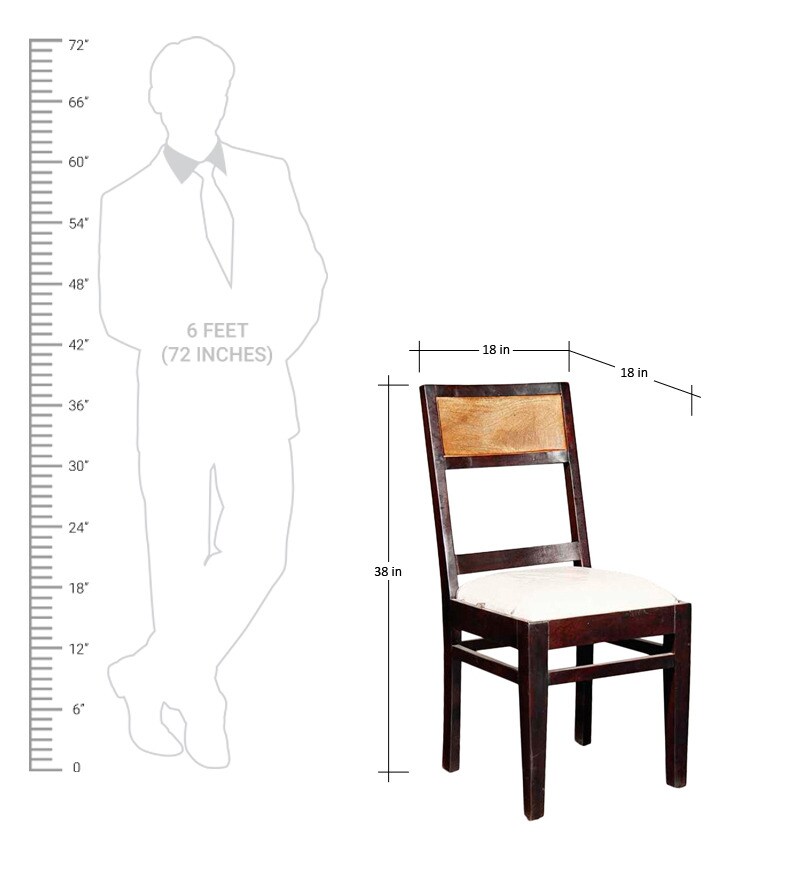 Buy Amazon Dining Chair by Evok Online Dining Chairs Dining Chairs Furniture Pepperfry