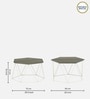 Amada Metal Hexagon Coffee Table In Grey Colour