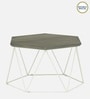 Amada Metal Hexagon Coffee Table In Grey Colour
