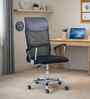 Amaze Breathable Mesh Medium Back Ergonomic Chair In Black Colour