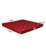 Amaze Eco High Density 7 Inch Foam Mattress In Queen Size