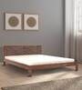 Amaze Sheesham Wood King Size Bed in Teak Finish