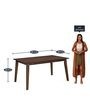 Amber 6 Seater Dining Table in Wenge Finish Amber 6 Seater Dining Table in Wenge Finish
