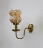 Amber Damru Glass Wall Sconce