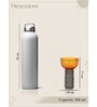 Amber Eclipse Cocktail Glass (Pack Of 2)
