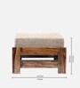 Amber Foot Stool Set Of 2 In Jute Beige Colour