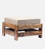 Amber Foot Stool Set Of 2 In Jute Beige Colour