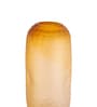 Amber Glow Glass Vase