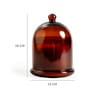 Amber Grisha Scented Cloche
