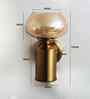 Amber Kachori Glass  Wall Sconce