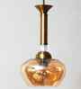 Amber Kachori Glass Hanging Lamp