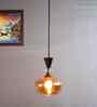 Amber Kachori Glass Pendant Light with Gold Finish