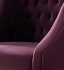 Ambulant Cocoon Velvet Guest Chairs In Purple Colour