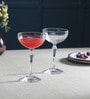 America '20S Transparent Glass 230ml (Set of 6) Coupe Wine Glasses