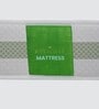 American Luxury 8 Inch Ortho Latex Queen Size Mattress