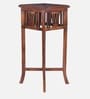 Amero Teak Wood End Table In Walnut Finish