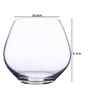 Amoroso Set of 2 Stemless Crystal Lead Free Glass 440ml Wine Glasses
